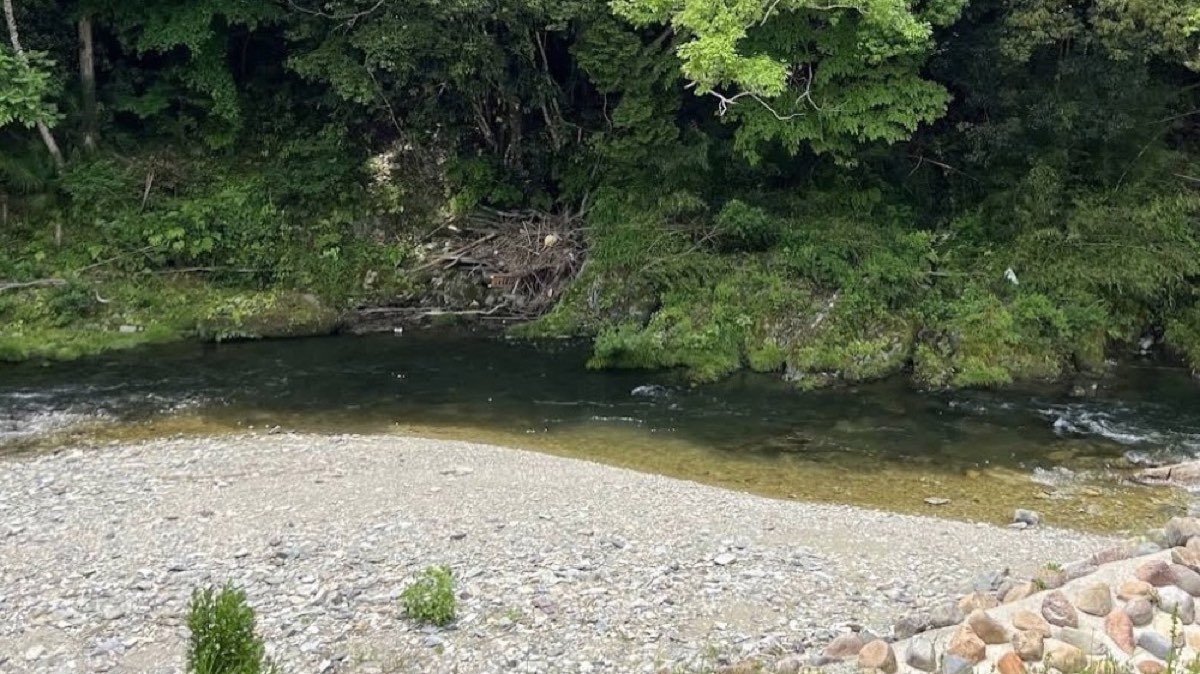 細野渓流キャンプ場（和歌山県紀の川市）の渓流